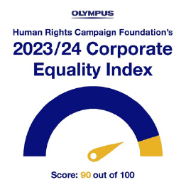 Corporate Equality Index