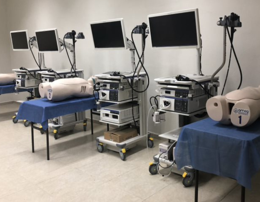 AMEG's Gastrointestinal Endoscopic Innovation and Training Lab