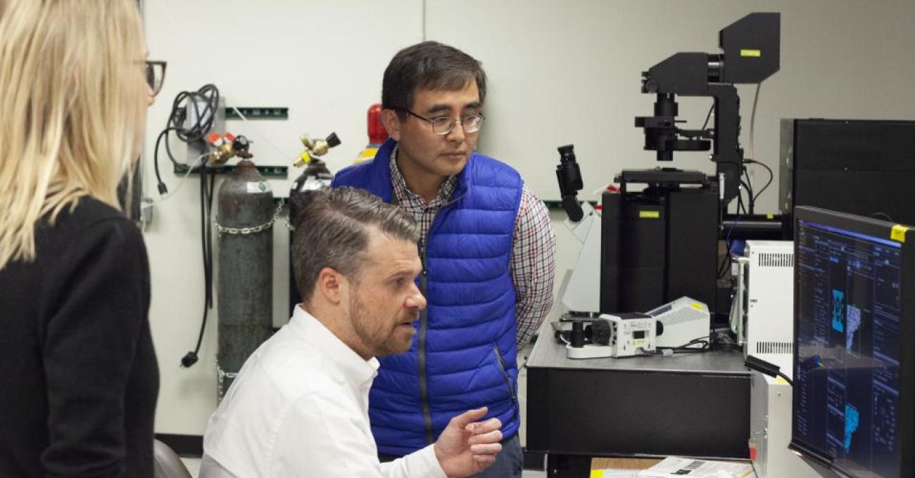 researchers studying microscope