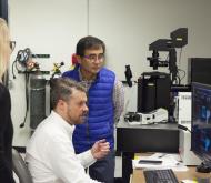 researchers studying microscope