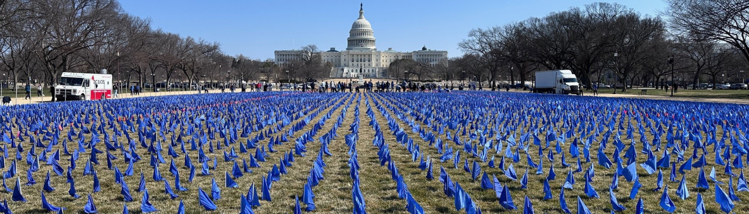 Call On Congress Blue Flags