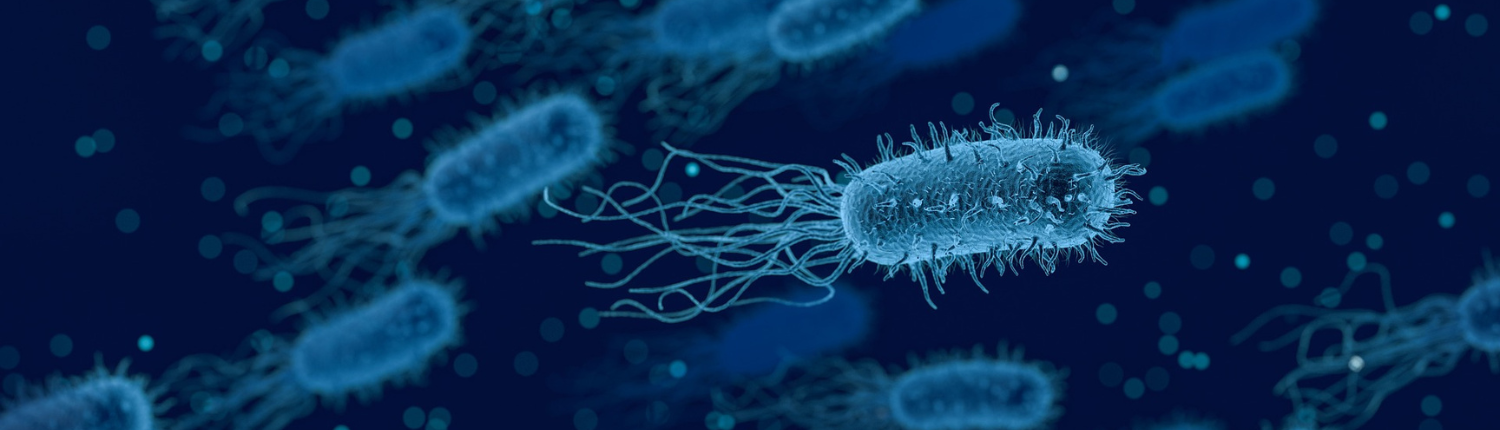Bacteria, Micro particles