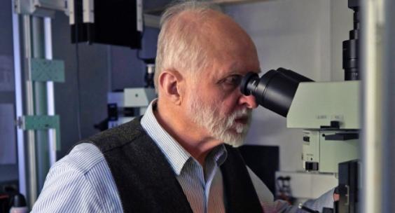Looking through microscope