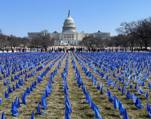 Call On Congress Blue Flags