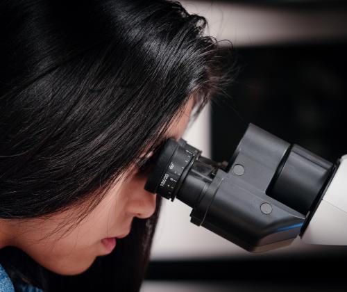 New Investigator Program