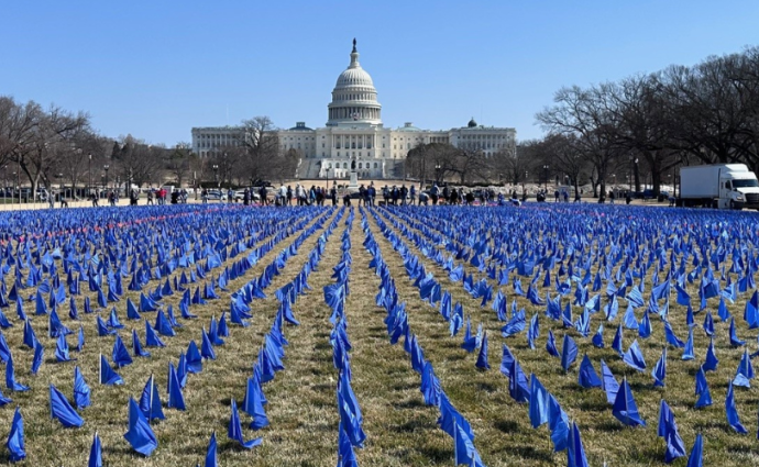Call On Congress Blue Flags